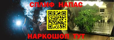 прущие грибы Чапаевск